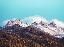 开云体育：引领新时代的体育生态革命